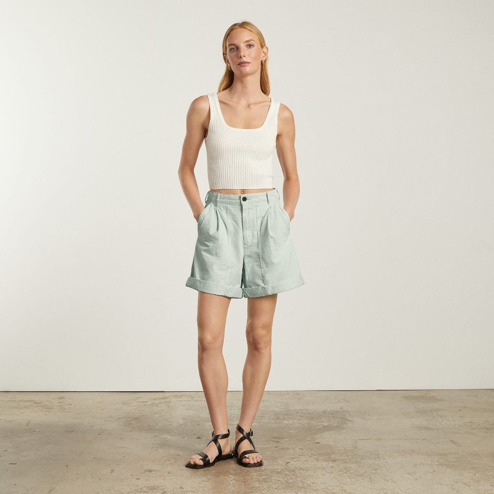 Everlane The Tourist Shorts in Iced Blue Size 2
